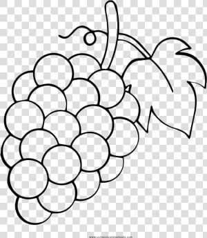 Uvas Página Para Colorear   Clipart Grapes  HD Png Download