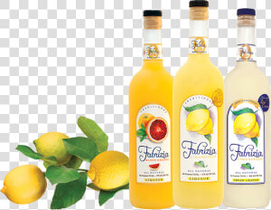 Fabrizia Limoncello  HD Png Download