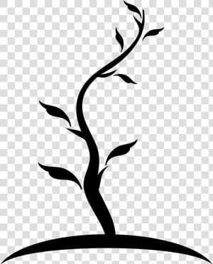 Tree Thin Shape Of Young Trunk With Few Leaves   Arbol Dibujo Y Tronco  HD Png Download