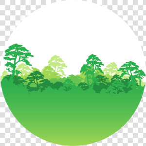 Greenpeace Stand For Forests Logo   Transparent Cartoons   Forest Clipart Black And White Png  Png Download