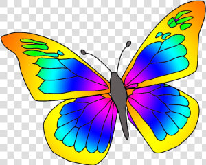 Many Colored Butterfly   Clipart Picture Of Butterfly  HD Png Download