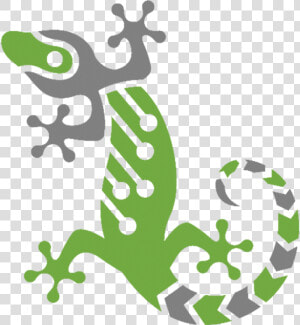 Gecko Robotics Logo  HD Png Download