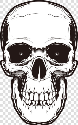 Human Skull Symbolism  HD Png Download