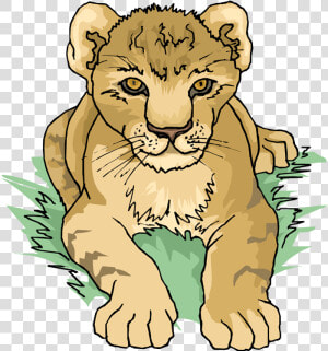 Free Lion Cub   Free Clipart Lion Cub  HD Png Download