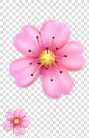 Freetoedit Floweremoji Flower Emoji Iphone Iphoneemoji   Pink Flower Emoji Png  Transparent Png