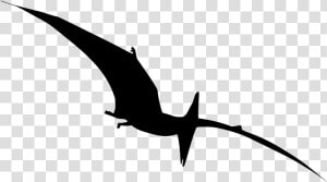 Pterodactyl Dinosaur Silhouette Png  Transparent Png