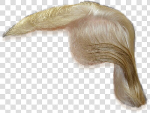 Coloring long Hair lace Wig silver fashion Accessory artificial   Donald Trump Hair Png  Transparent Png