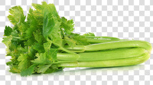 Download Celery Png File   Celery Meaning In Hindi  Transparent Png