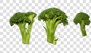 Broccoli  Clippings  Vegetables   Verduras Png  Transparent Png