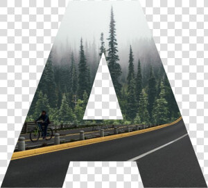  a  road  camino  bosque  forest  letter  letra   Evergreens In The Wild  HD Png Download