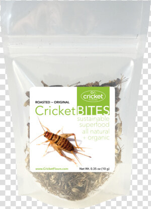 Roasted Crickets  amp  Dried Crickets   Dry Roasted Crickets  HD Png Download