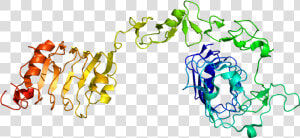 Protein Igf1r Pdb 1igr   Insulin Like Growth Factor 1 Receptor  HD Png Download