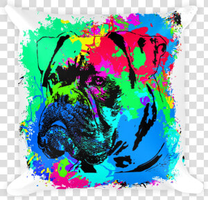 Boxer Colorful Splash Paint Decorative Pillow   Portable Network Graphics  HD Png Download