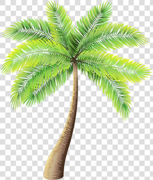 Clip Art Palm Trees Portable Network Graphics Image   Transparent Palm Tree Png  Png Download