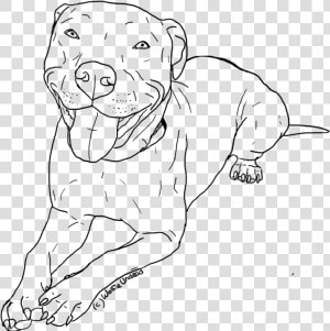 Red Nose Pitbull Drawings   Cute Dog Drawings Pitbull  HD Png Download