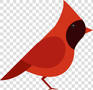 Northern Cardinal Vector Graphics Bird Clip Art   Cardinal Vector Png  Transparent Png