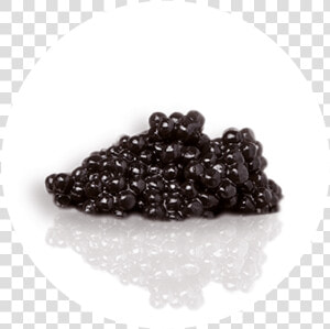 Transparent Caviar Png  Png Download