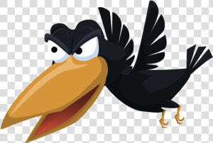 Crow   Png Download   Crow Images Png Animation  Transparent Png