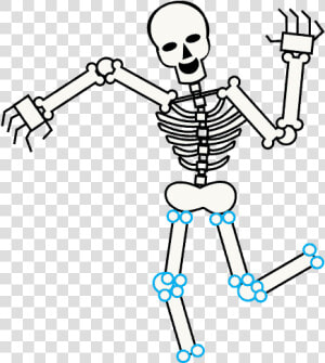 How To Draw Skeleton   Cartoon Transparent Background Skeleton  HD Png Download