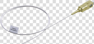 Pigtails Png  Transparent Png