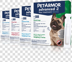 Petarmor Advanced 2 Flea Preventative For Dogs   Petarmor Advantage 2  HD Png Download