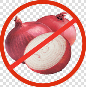 Transparent Onions Png   Onion Clip Art Png  Png Download