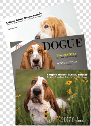 But Since I Can T  I Have Found A Way To Use My Skills   Basset Hound  HD Png Download