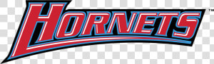 Delaware State Hornets Logo Png Transparent   Delaware State University  Png Download