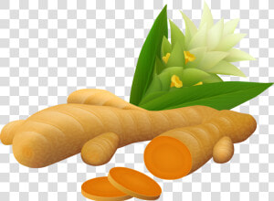 Ginger Vector Spice   Turmeric Vector  HD Png Download