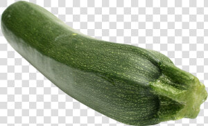 Transparent Cucumber Clipart   Zucchini Png  Png Download