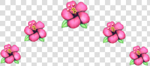  flower  crown  crownflower  emojiflower  emoji  flowerpink   Flower Crown Headband Emoji  HD Png Download