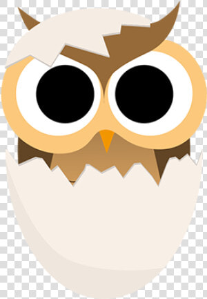 Earlybird   Illustration  HD Png Download