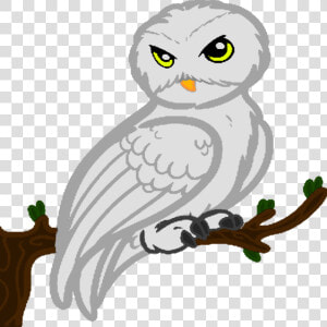 Collection Of Free Hedwig Drawing Realistic Download  HD Png Download