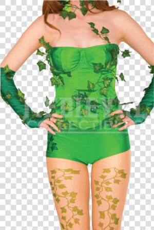 Deluxe Poison Ivy Corset   Png Download   Poison Ivy Womens Costume  Transparent Png