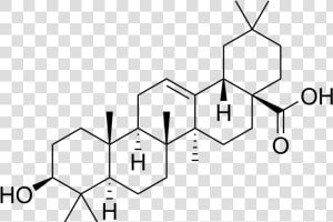 Chemical Structure Of Betulinic Acid  HD Png Download