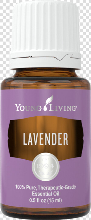 Lavender   Young Living Lavender Essential Oil Png  Transparent Png