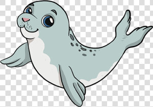 How To Draw Baby Seal   Draw A Baby Seal  HD Png Download