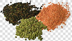 3 Types Of Lentil   All Dal  HD Png Download