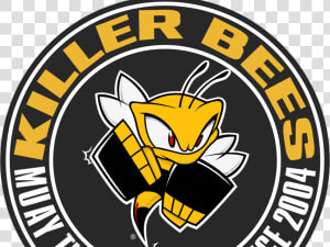 Killer Bees Kickboxing0   Logo Killer Bees Png  Transparent Png