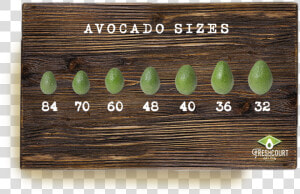 Avocado Sizes Table   Plywood  HD Png Download