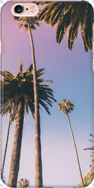 Palm Tree Case   Beverly Hills Palm Trees  HD Png Download