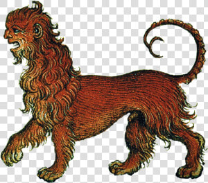 Transparent Ancient Greece Png   Masai Lion  Png Download