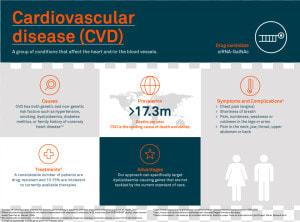 Cardiovascular Disease Gene And Environment  HD Png Download