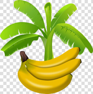 Banana Tree Clipart Png   Gambar Pohon Pisang Kartun  Transparent Png