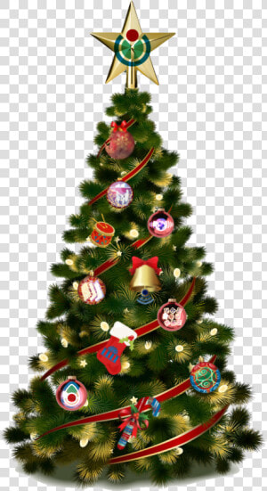 Wiki mas Tree   Transparent Transparent Background Christmas Tree Png  Png Download