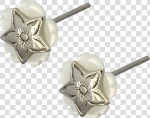 Austaras Hawaiian Flower Star Stud Earrings   Earrings  HD Png Download