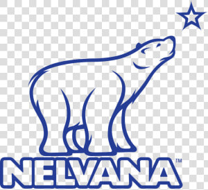 Nelvana Logo  HD Png Download