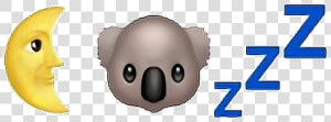  emoji  tumblr  koala  moon  zzz  aesthetic freetoedit   Koala  HD Png Download