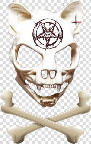  freetoedit  satan  wolf  skull  bone  wolfskull   Skull  HD Png Download