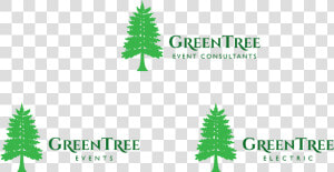 Logo Design By Saulogchito For This Project   Christmas Tree  HD Png Download